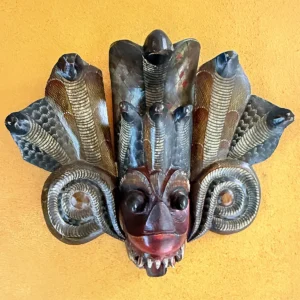 Cobra mask